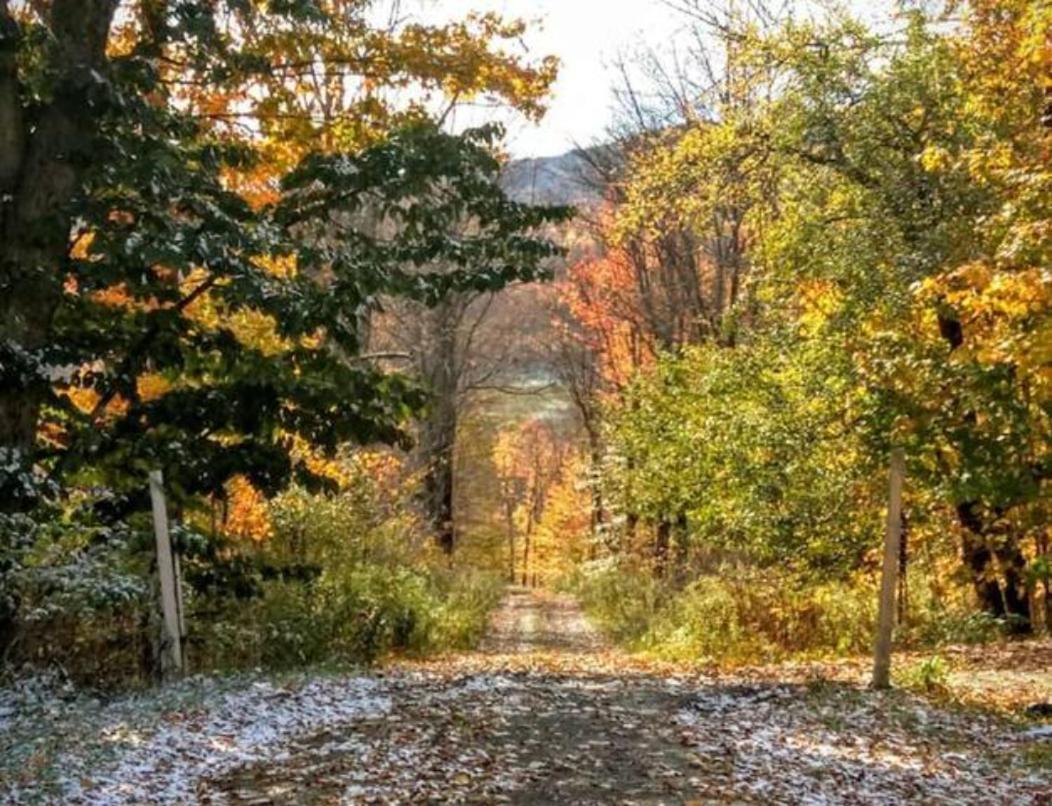 Endless Mountain Resort Union Dale المظهر الخارجي الصورة